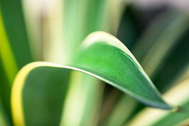 回合战斗游戏《蒸汽世界：劫掠 2》Steam页面 8月8日发售